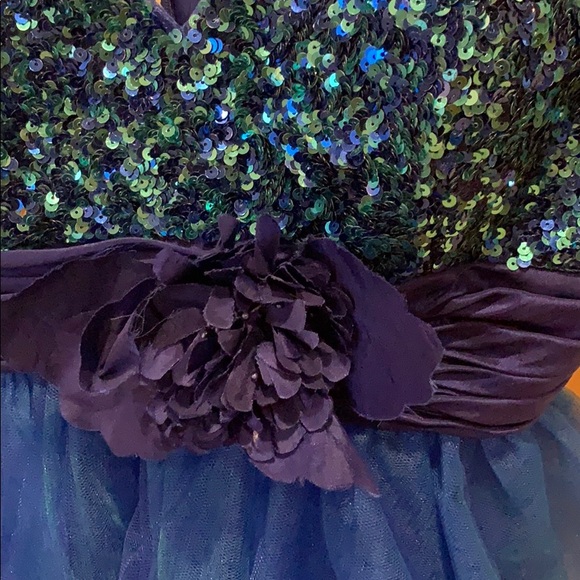 Cinderella semi formal dress - Picture 5 of 7